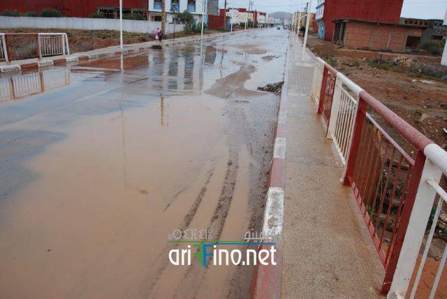 nador3366