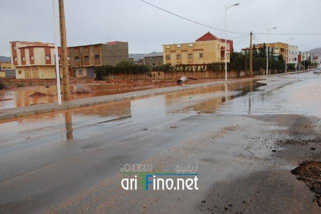 nador3368