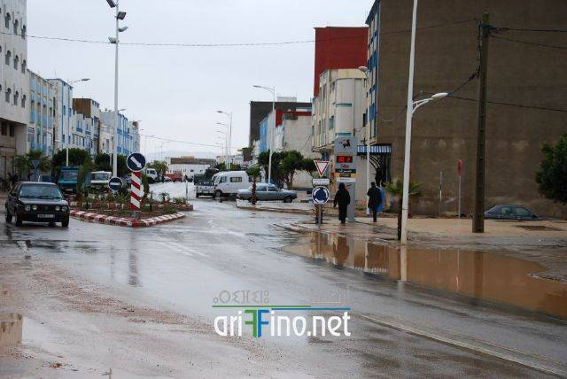 nador3369