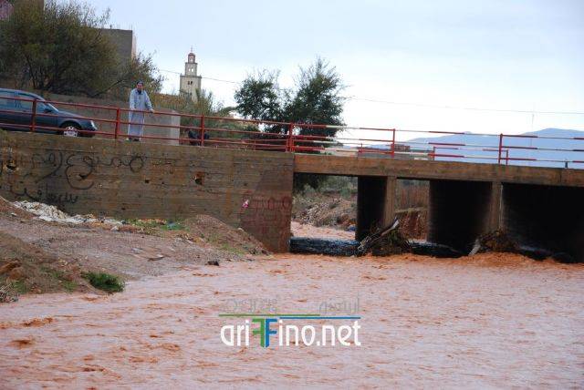 nador3370