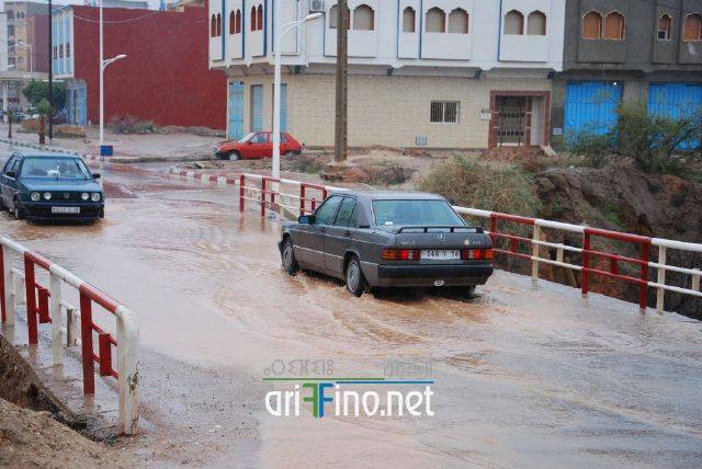 nador3374