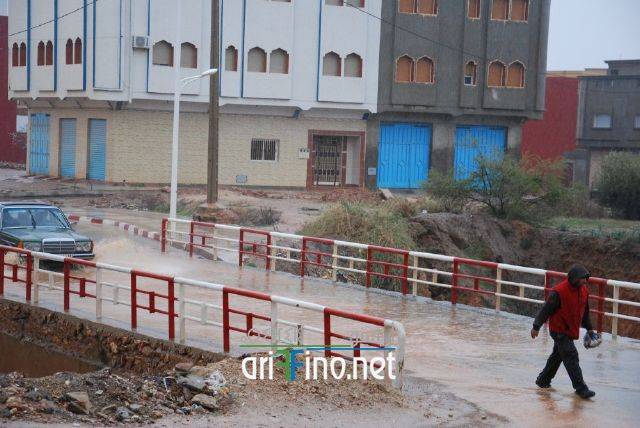 nador3375