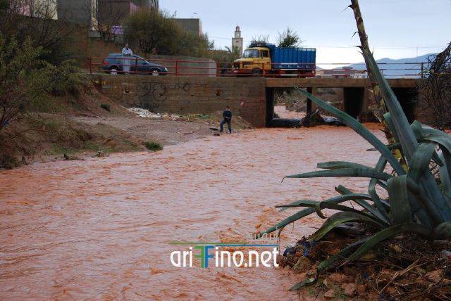 nador3377