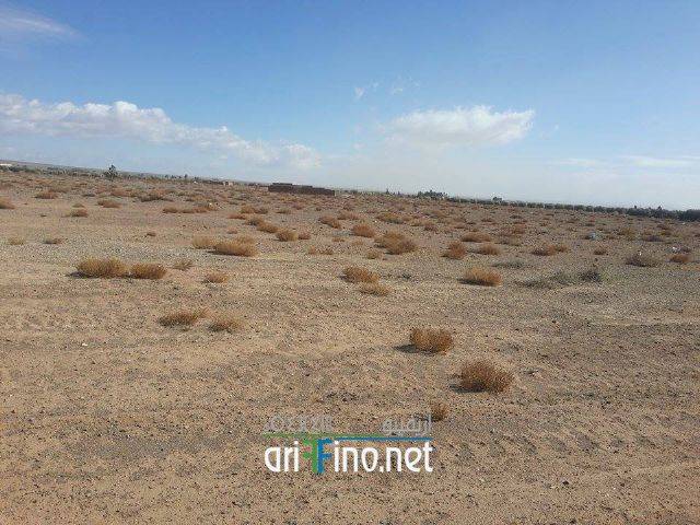 nador3660