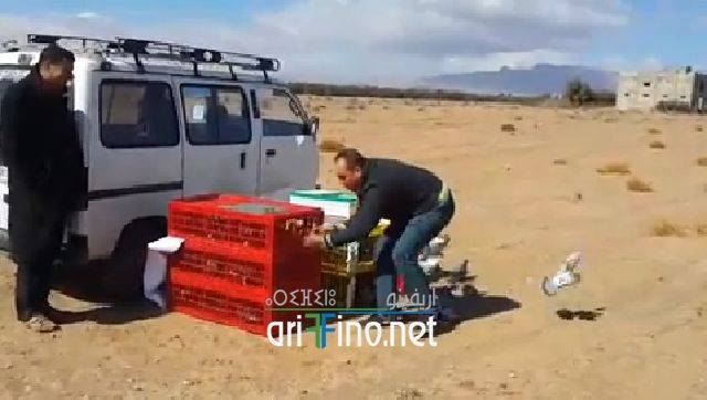 nador3664
