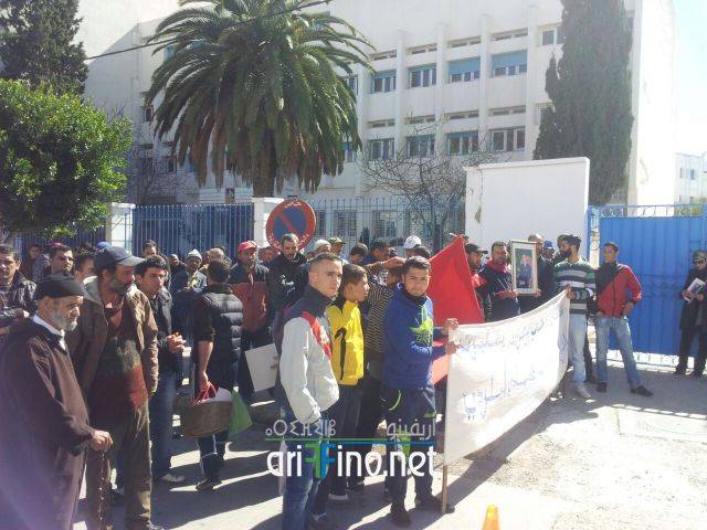 nador3666