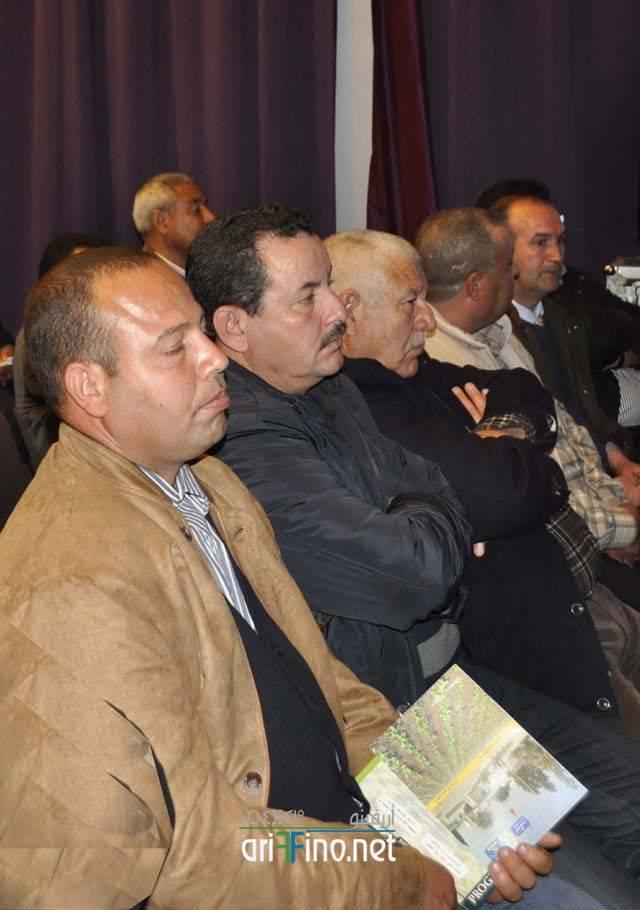 nador3765