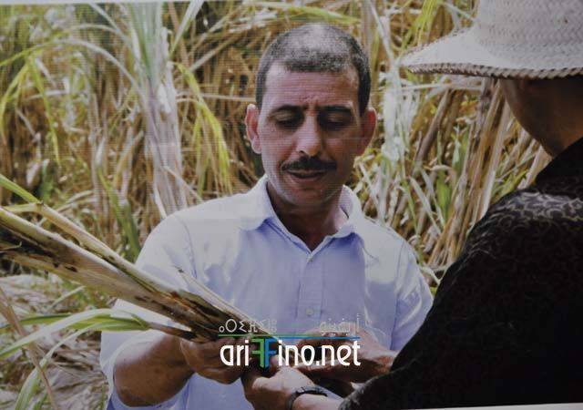 nador3767