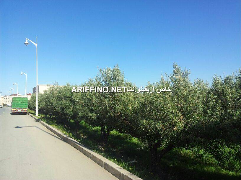 nador0005