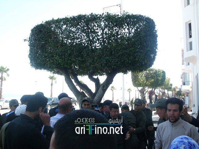 nador0457