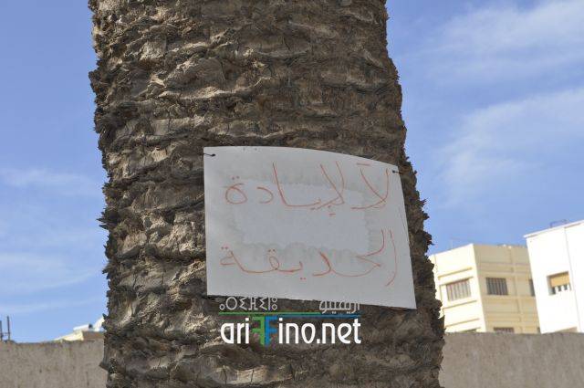 nador4419