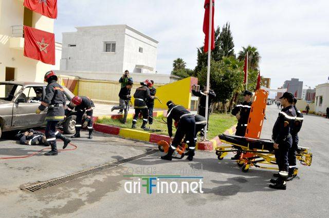 nador4466