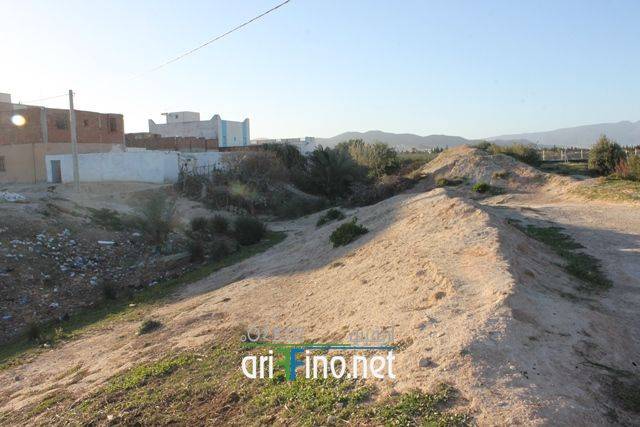 nador5041