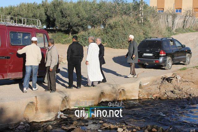 nador5062