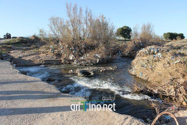 nador5066