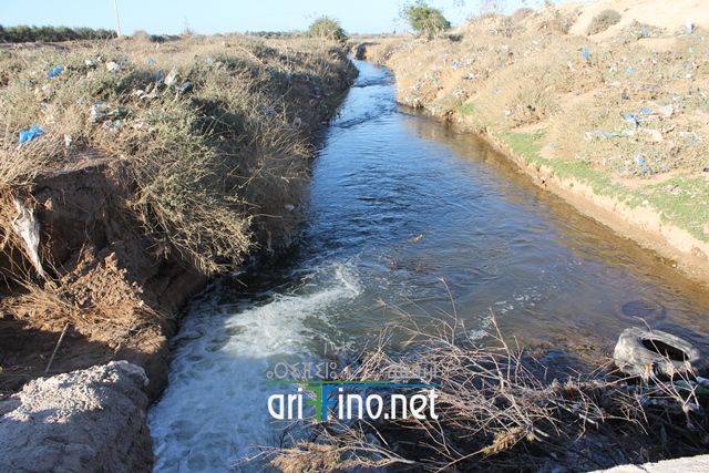 nador5073