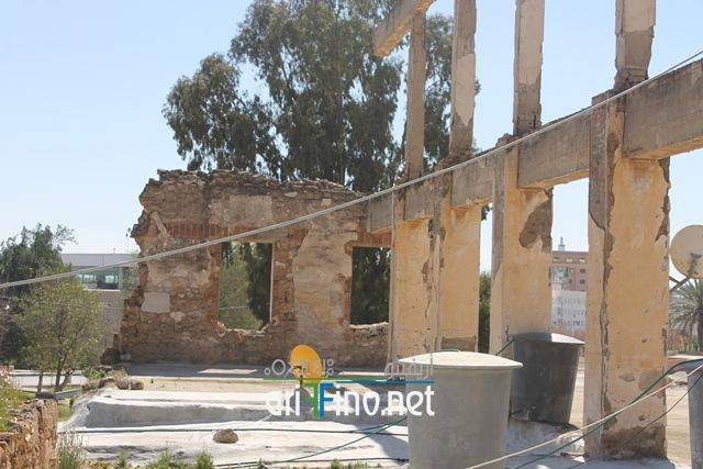 nador5435