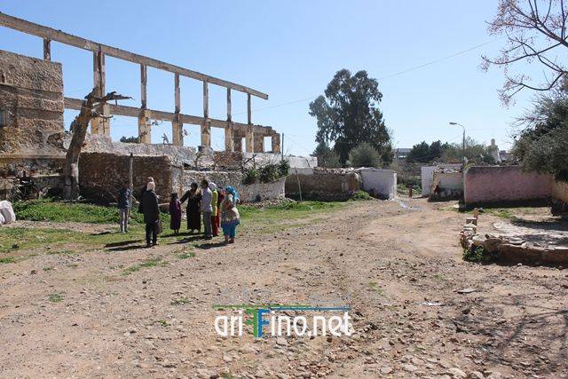 nador5447