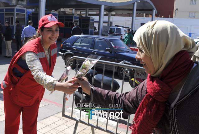 nador5775