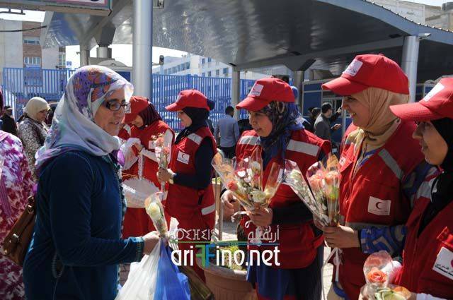 nador5780