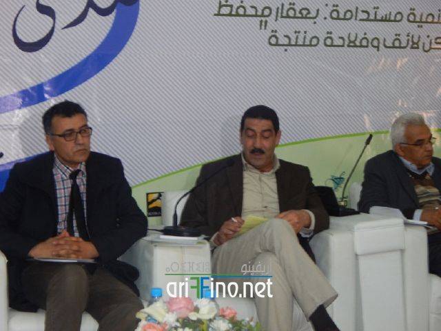 nador6266