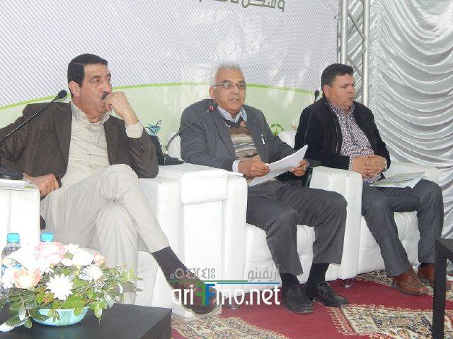 nador6323