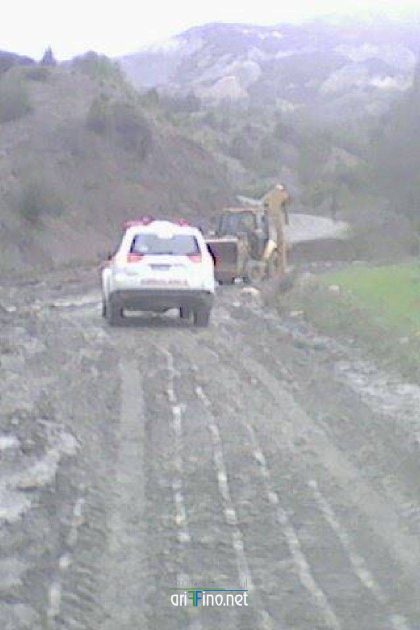 nador6677