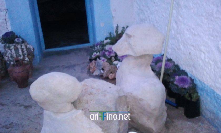 nador6721
