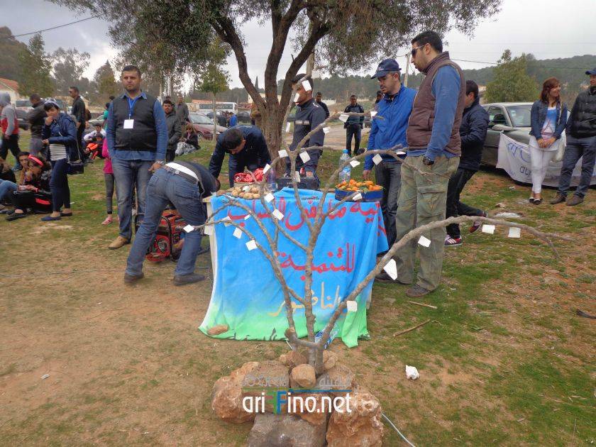 nador6795