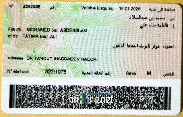 nador7304