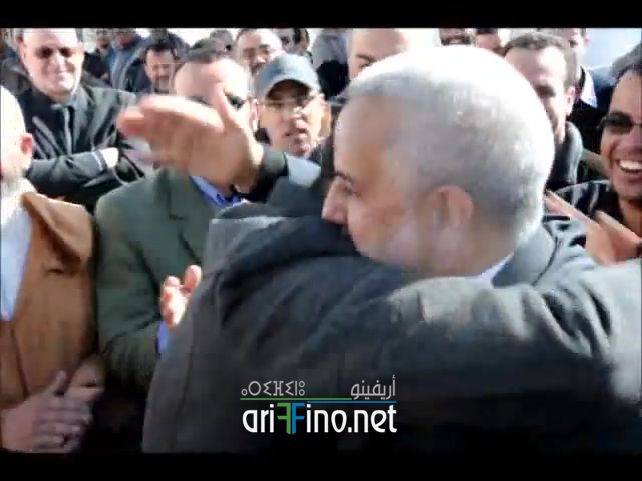 nador7336