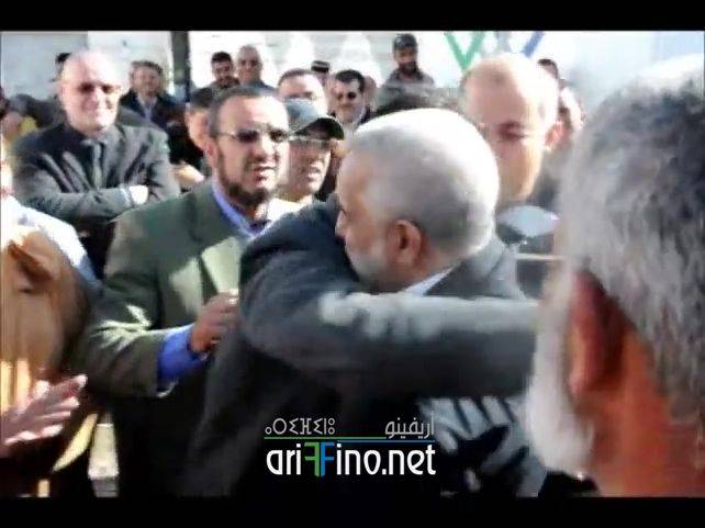 nador7338