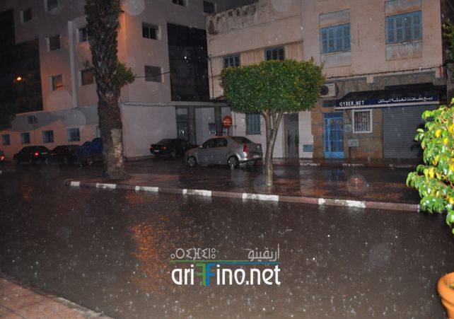 nador7659