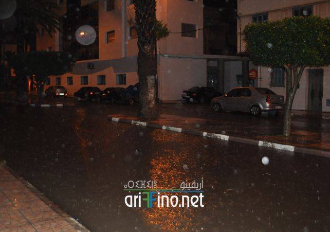 nador7662