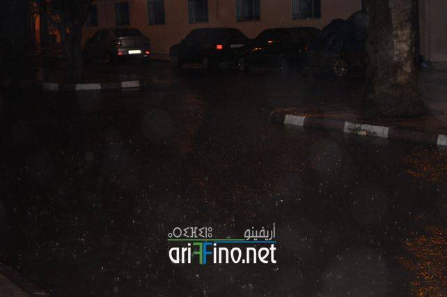 nador7663