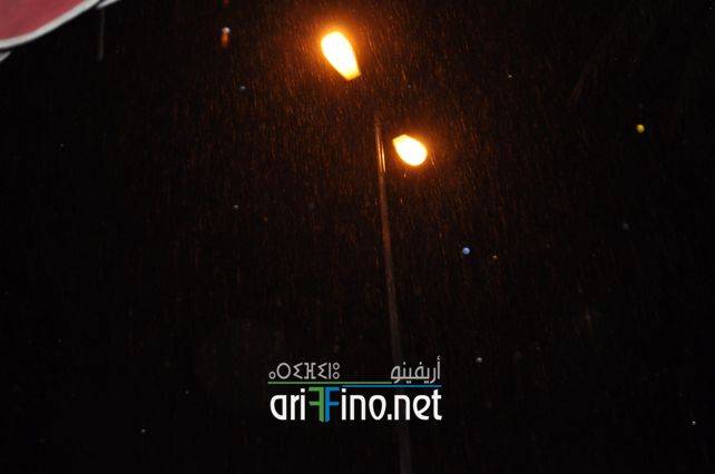 nador7672