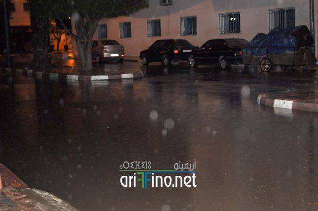 nador7675