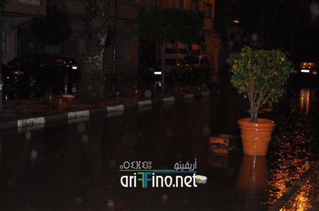 nador7679