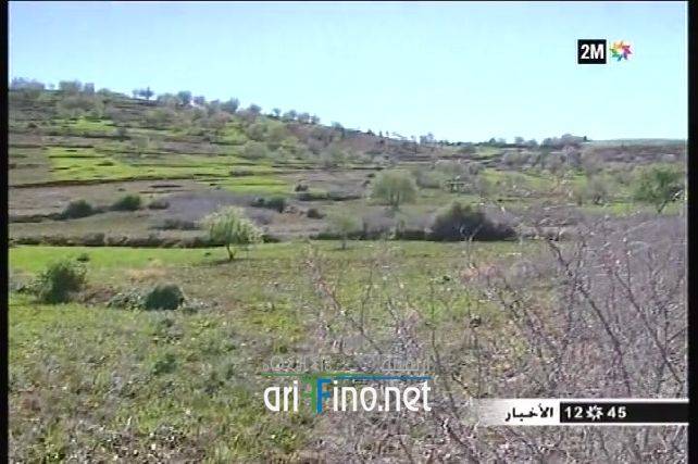 nador7691