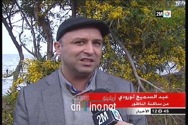 nador7698