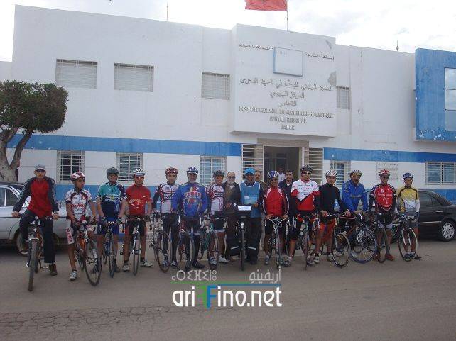 nador7761
