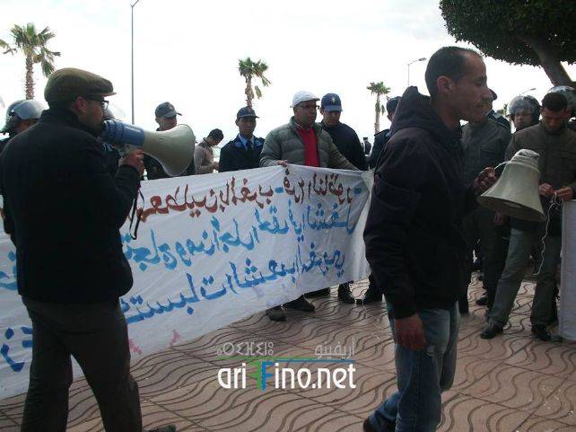nador8113