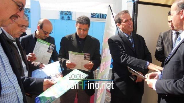 nador8165