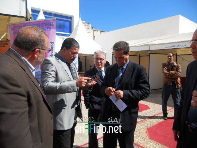 nador8171