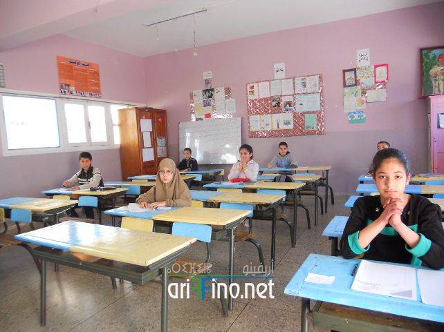 nador8204