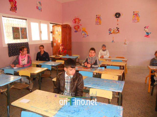 nador8208