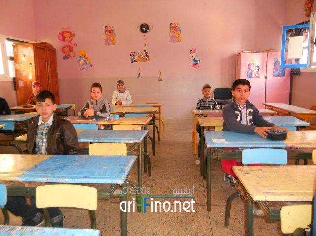 nador8209