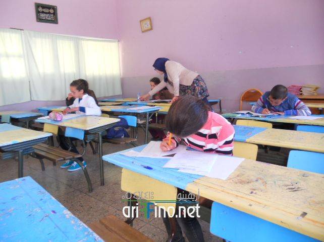 nador8218