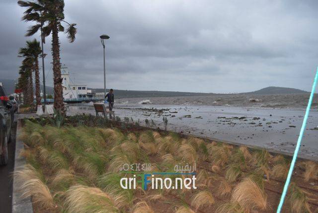 nador0006