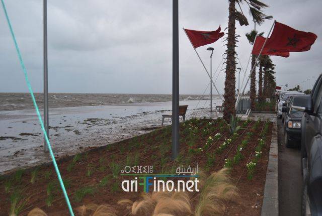 nador0007
